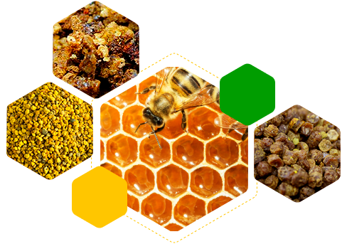 Продукты пчеловодства Тенториум